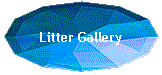 Litter Gallery